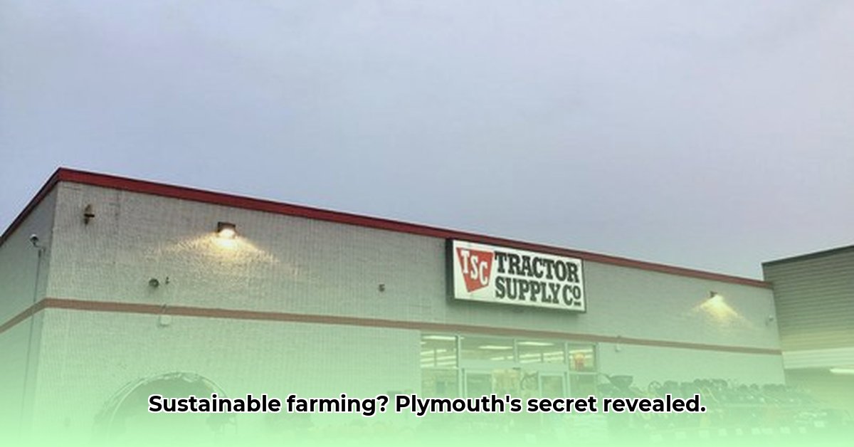 plymouth-nh-tractor-supply